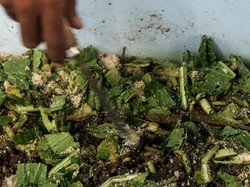 Berekan, Metode Pengolahan Sampah Tradisional Bali yang Mulai Ditinggalkan