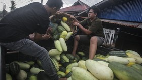 FOTO: Meraup Cuan Timun Suri dari Berkah Ramadan