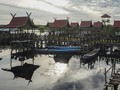 Terkagum Melihat Sungai Hitam di TN Sebangau