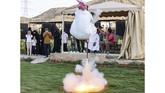 FOTO: Tradisi Taashir dari Arab Saudi, Menari di atas Mesiu Taashir merupakan salah satu tarian tradisional dari Arab Saudi yang menggunakan senapan dan mesiu sebagai komponen penampilannya.