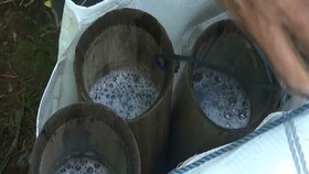 VIDEO: Legen, Minuman Khas Cocok Untuk Berbuka Puasa