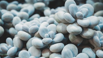 EKOR PUTRI DUYUNG HINGGA MOONSTONE