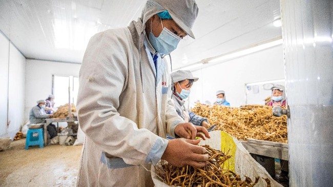 Biro Statistik China melansir inflasi mulai landai ke level 1,5 persen pada Desember 2021, dibandingkan 2,3 persen pada bulan sebelumnya.