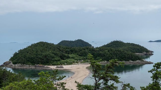 Satu tahun sekali, lautan di sekitar Pulau Jindo bakal terbelah dan memperlihatkan "jalan rahasia" menuju Pulau Modo.