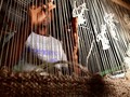 FOTO: Serat Pohon Pisang Disulap Menjadi Karpet di Uganda