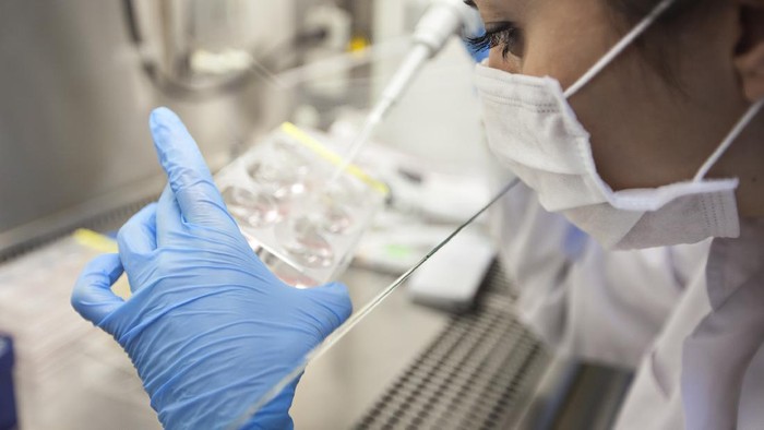 researchers lab work