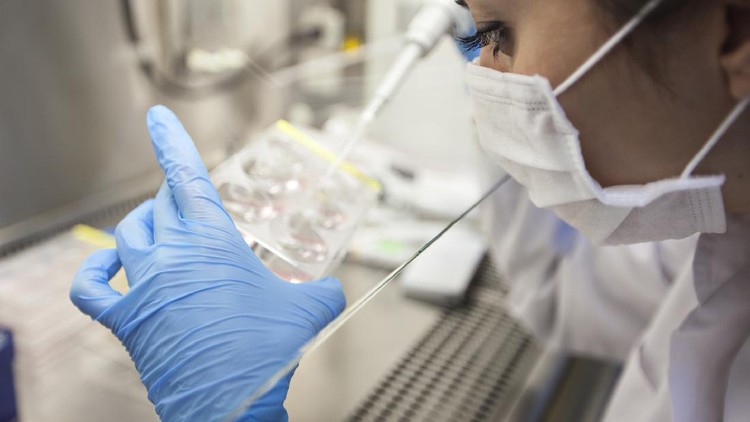 researchers lab work