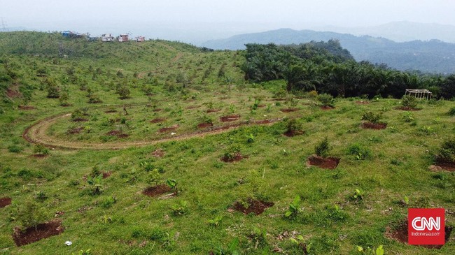 Ketua Pelaksana PT Kiniku Bintang Raya Budiman Sudjatmiko mengatakan ada keluarga kerajaan yang melirik investasi di Bukit Algoritma.