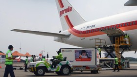 1,1 Juta Dosis Vaksin Sinopharm Tiba di Indonesia