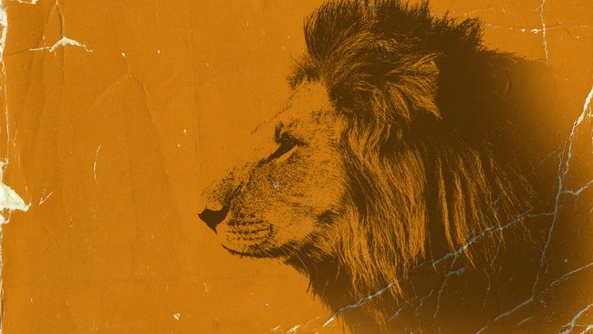 Kisah Hamzah Bin Abdul Muthalib Yang Dijuluki Singa Allah Kisah Hamzah Bin Abdul Muthalib Yang Dijuluki Singa Allah