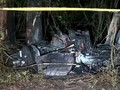 VIDEO: Tesla Model S Kecelakaan, Tabrak Pohon Hingga Terbakar