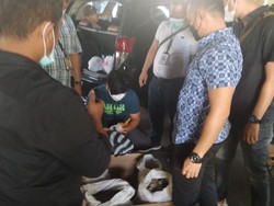 Penjual Sisik Trenggiling-Paruh Rangkong di Sumbar Diciduk Bareskrim