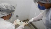 FOTO: Genggaman Palsu Perawat Brasil Hangatkan Pasien Covid Berjuang melawan Covid-19 tak hanya perang melawan penyakit, tetapi juga kesepian. Pasien harus diasingkan dari keluarga, tak ada teman.