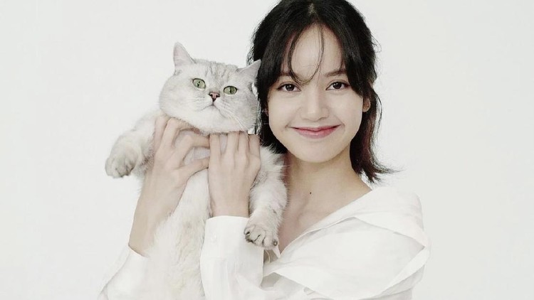 kucing Lisa BLACKPINK
