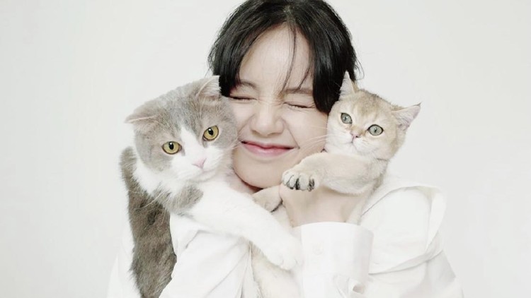 kucing Lisa BLACKPINK kucing Lisa BLACKPINK