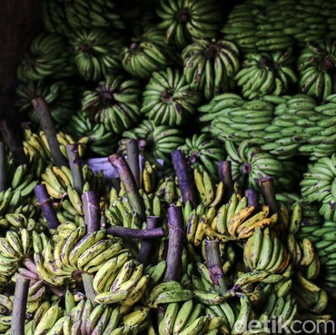 Ini yang Bakal Terjadi Pada Tubuh Jika Konsumsi Pisang Setiap Hari