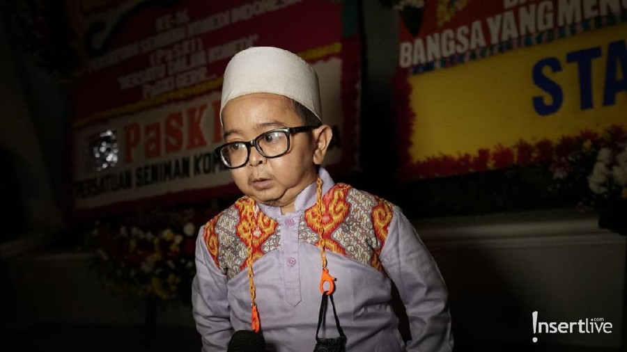 Daus Mini