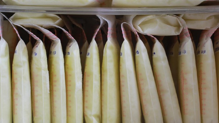 breast milk storage bags for new baby in refrigerator