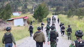 KKB Bakar Dua Rumah Guru SD di Puncak Papua, Aparat Siaga Berjaga