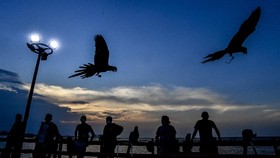 5 Rekomendasi Wisata Romantis di Jakarta