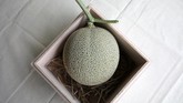 FOTO: Musik & Pijat, Rahasia Tanam Melon Jepang di Malaysia Setelah lebih dari satu dekade bereksperimen, sejumlah petani Jepang akhirnya menemukan ramuan rahasia yang tepat untuk budidaya melon Jepang yang mahal.