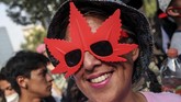 FOTO: Pesta 420, Peringatan Hari Ganja Sedunia Setiap tahunnya, Hari Ganja Sedunia atau juga dikenal sebagai 420 Day diperingati setiap tanggal 20 April.