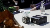 FOTO: Pesta 420, Peringatan Hari Ganja Sedunia Setiap tahunnya, Hari Ganja Sedunia atau juga dikenal sebagai 420 Day diperingati setiap tanggal 20 April.