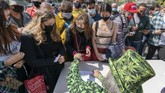 FOTO: Pesta 420, Peringatan Hari Ganja Sedunia Setiap tahunnya, Hari Ganja Sedunia atau juga dikenal sebagai 420 Day diperingati setiap tanggal 20 April.