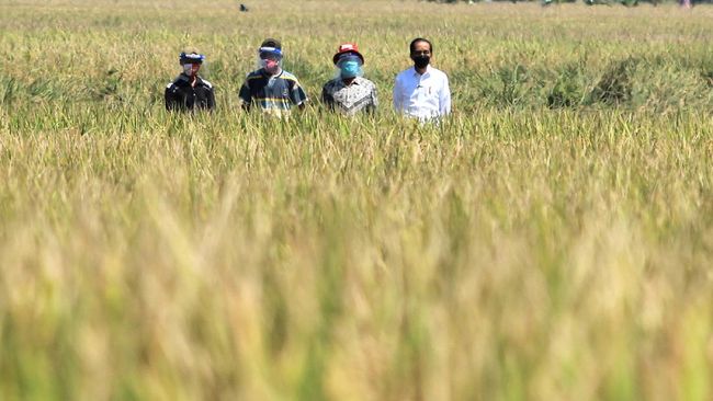 Jokowi Pede Produksi Beras Naik dengan Bantuan Pompa Air ke Petani