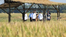 Mentan Pastikan Tidak Ada Impor Beras Tahun Ini