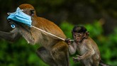 FOTO: Sampah Masa Pandemi Mengancam Bumi Jumlah sampah masker, sarung tangan dan pakaian pelindung diri melonjak selama masa pandemi. Berpotensi memicu pencemaran lingkungan.