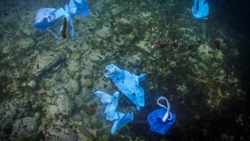 FOTO: Sampah Masa Pandemi Mengancam Bumi