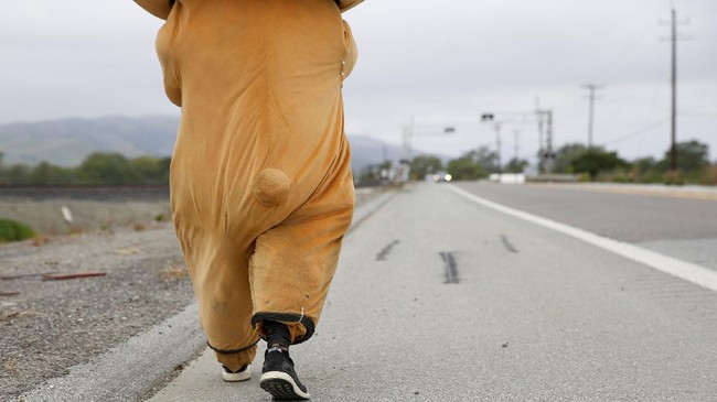 FOTO: 'Beruang' Jalan Kaki dari Los Angeles ke San Francisco