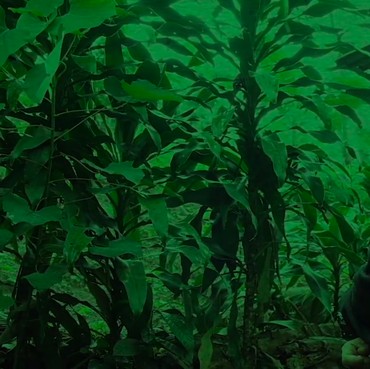 Misteri Gunung Batu Jonggol, Ada Sumur yang 'Dijaga' Nyi Roro Kidul