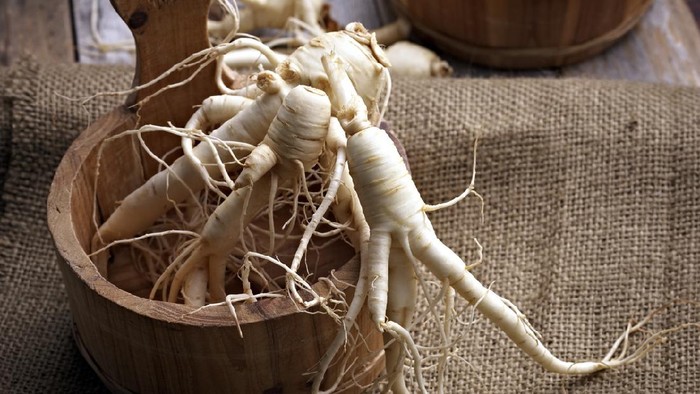 Fresh Ginseng