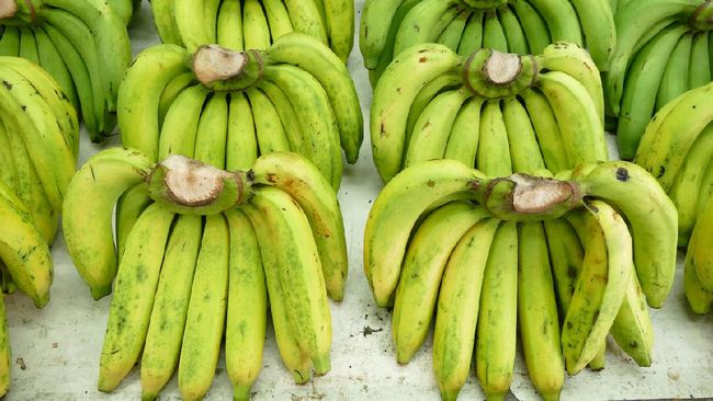 Kekurangan vitamin A menyebabkan ribuan anak di Uganda meninggal dunia. Untuk mengatasinya, mereka menciptakan pisang super.