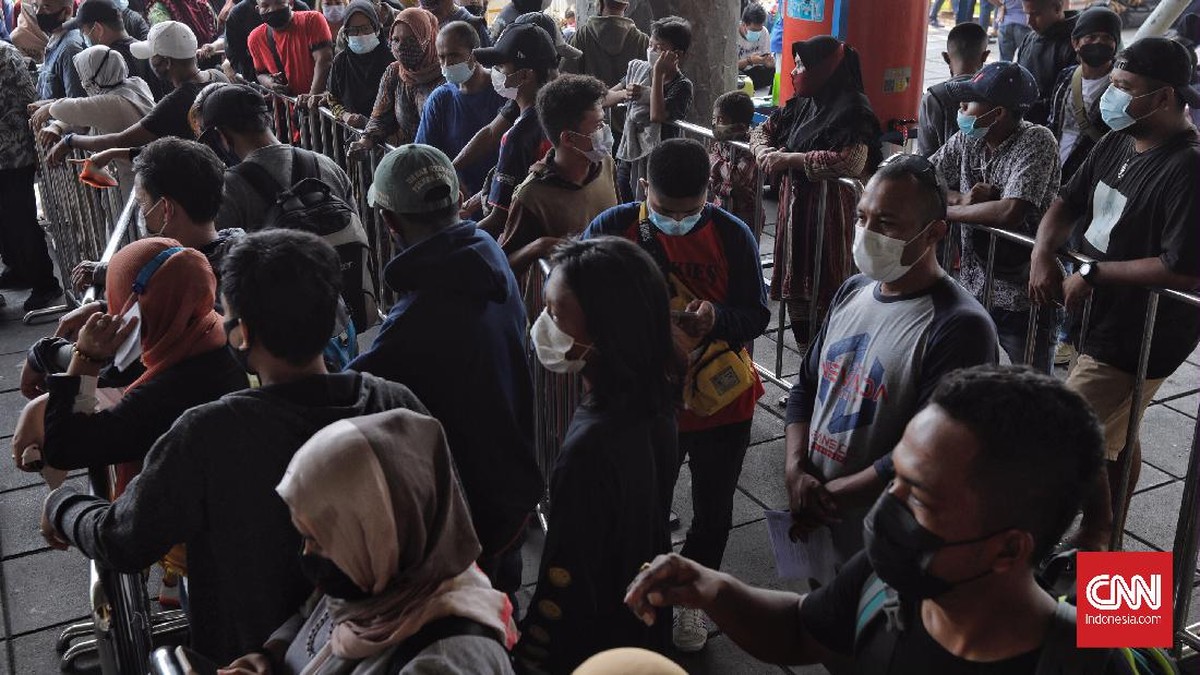 FOTO: Beludak Antrean di Tanjung Priok