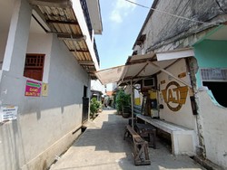 Monyet Lepas Tiba-tiba Serang Bocah hingga Guling-guling di Palmerah