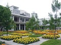Piknik ke Kebun Wangi nan Estetis di Rumah Atsiri