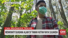 VIDEO: Menikmati Suasana Alam di Taman Hutan Raya Djuanda