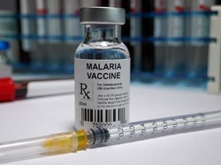 Serba-serbi Hari Malaria Sedunia 2025 hingga Cara Memperingati