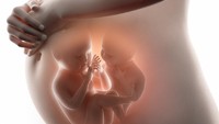 Bisakah Melahirkan Bayi Kembar secara Normal? Ketahui Peluangnya Bun