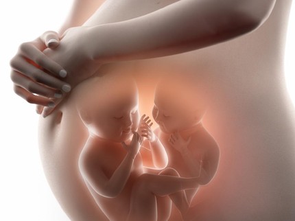 Fenomena Langka, Kisah Bunda Punya Dua Rahim yang Masing-masing Mengandung Bayi