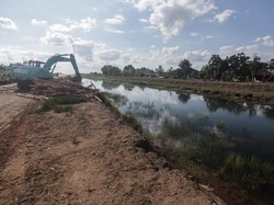 Lumbung Pangan RI di Kalimantan Tengah Dikebut, Begini Progresnya