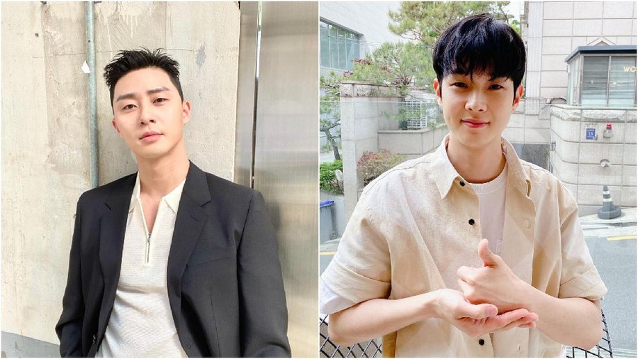 Park Seo Joon dan Choi Woo Shik