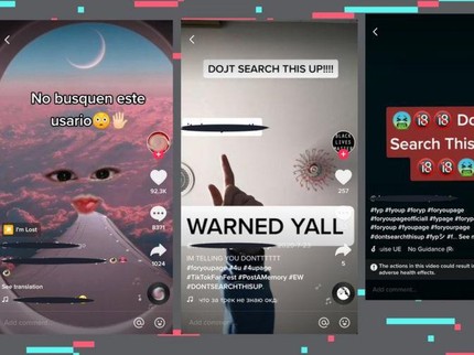 Waspadai 'Don't Search This Up' di TikTok, Isinya Akun Pornografi &Kekerasan