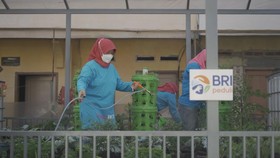 BRI Peduli Bantu Urban Farming di 18 Lokasi Indonesia
