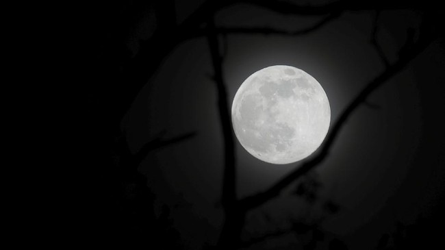FOTO: Fenomena Supermoon Pink Moon 2021