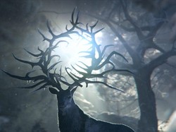 Shadow and Bone: Cahaya di Tengah Kegelapan