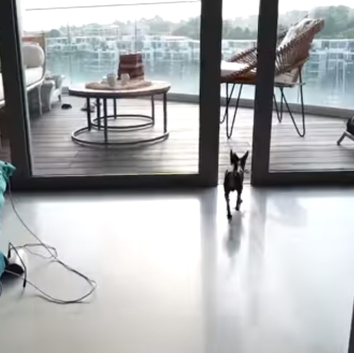 <p>Di tambah lagi, ruang tengah rumah Calista Cuaca ini disambung dengan balkon untuk melihat pemandangan di luar. (Foto: YouTube: Calikins)</p>
